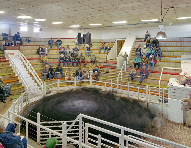 Bassett livestock auction